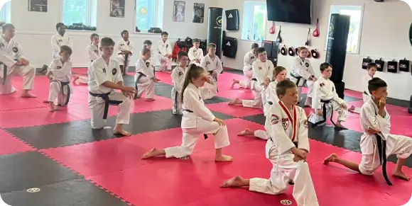 Martial artists representing Ireland in European finals