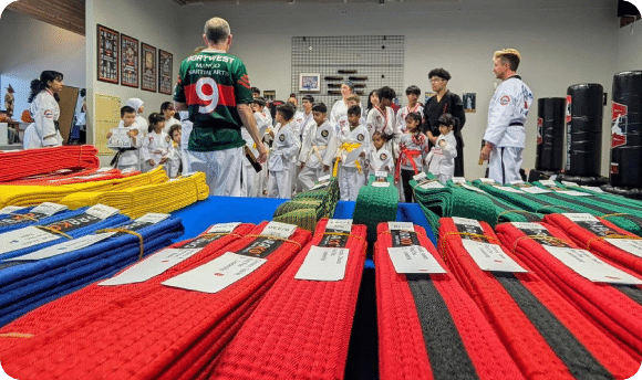 Sparring gear and protective equipment for competition